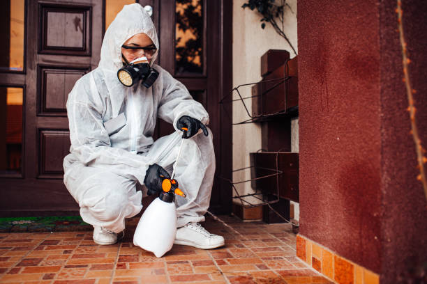 Reliable Ant Control contractor in Leland, NC by Show Me Pest Control